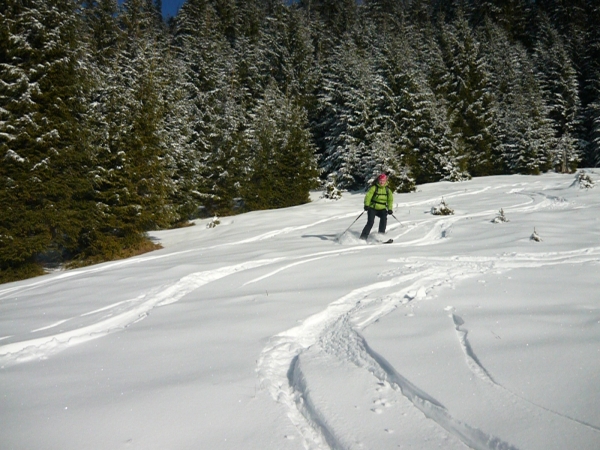 Padiș Ski de tura